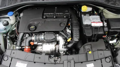 C4 Cactus